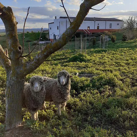 Masseria Moschella Alloggio per agriturismo Lavello