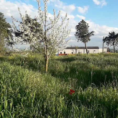 Séjour à la ferme Masseria Moschella Lavello