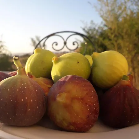 Masseria Moschella *