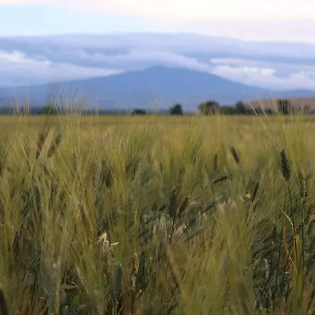 Masseria Moschella Alloggio per agriturismo