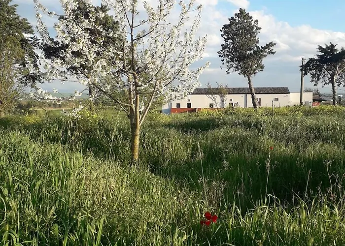 Farm stay Masseria Moschella Lavello